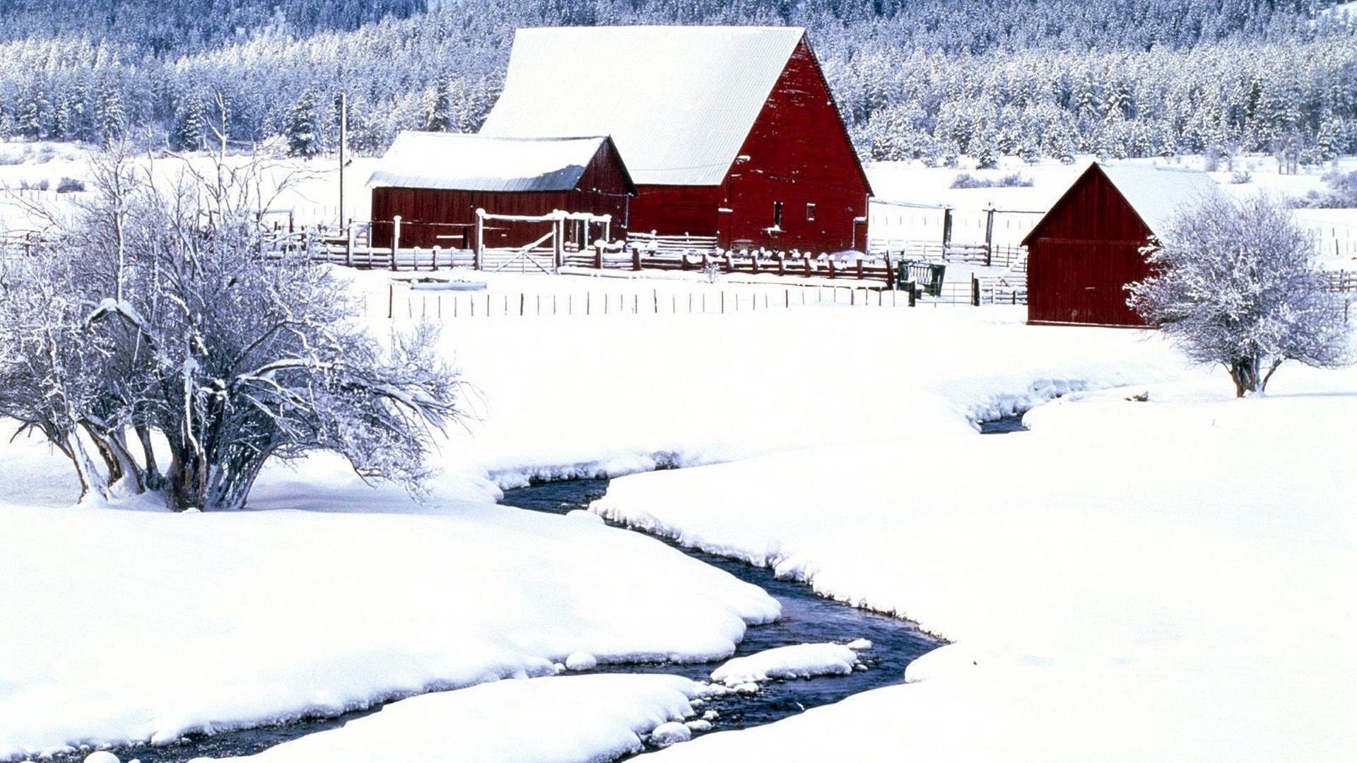 Red barn in snowy landscape