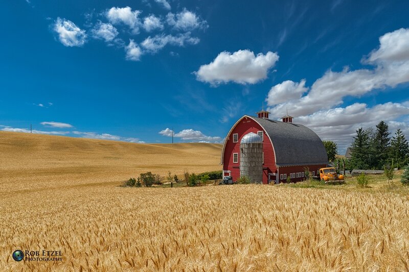 Red Barn in Wheat Field