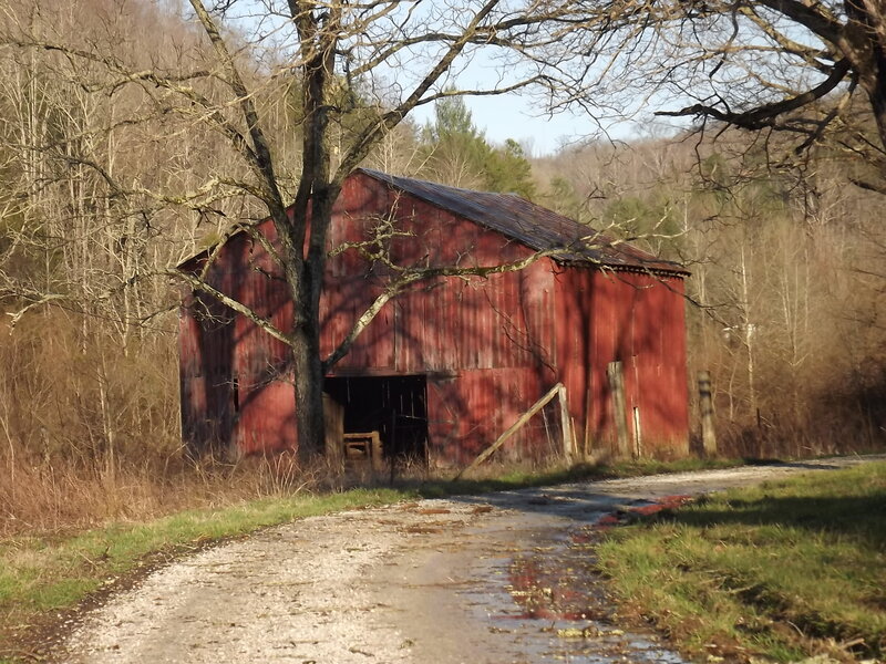 Red Barn in Woods