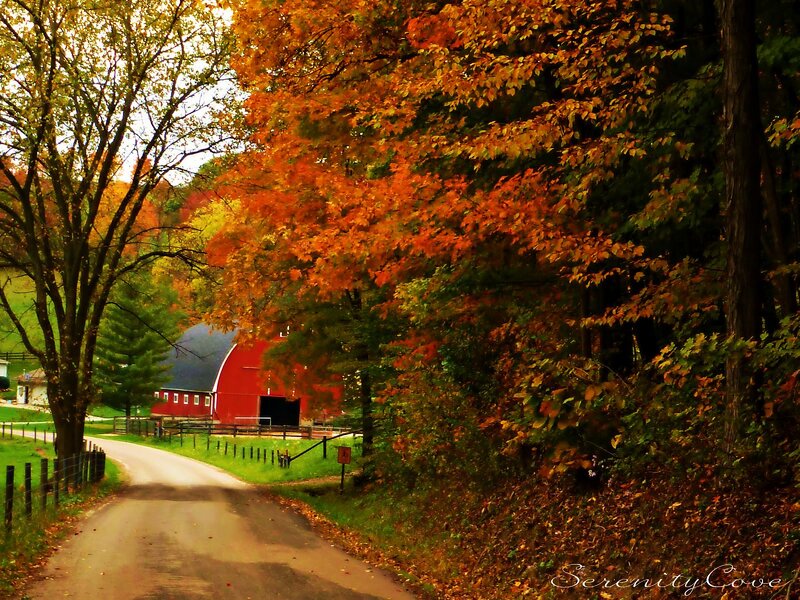 Red Barn on Country Road