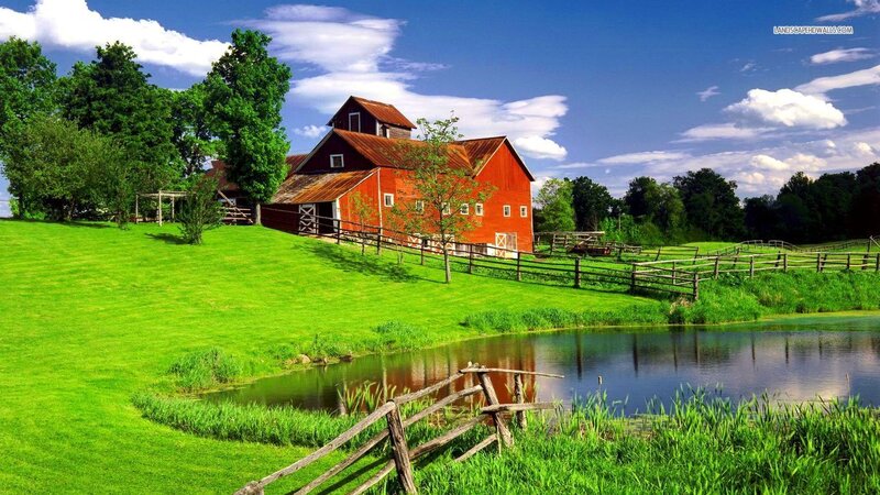 Red Barn on Hillside — Green, Serene, Afternoon