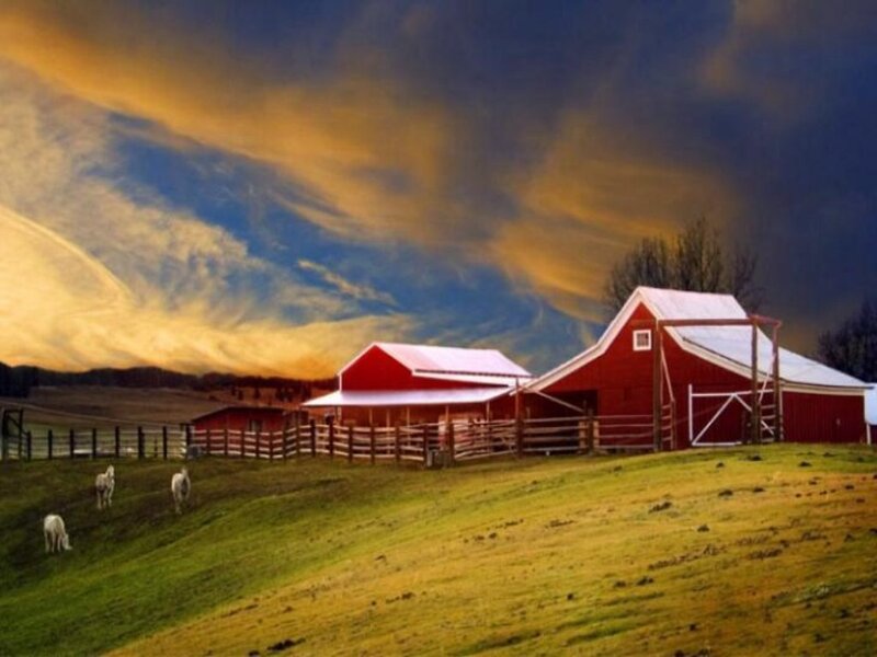 Red Barn on Hillside