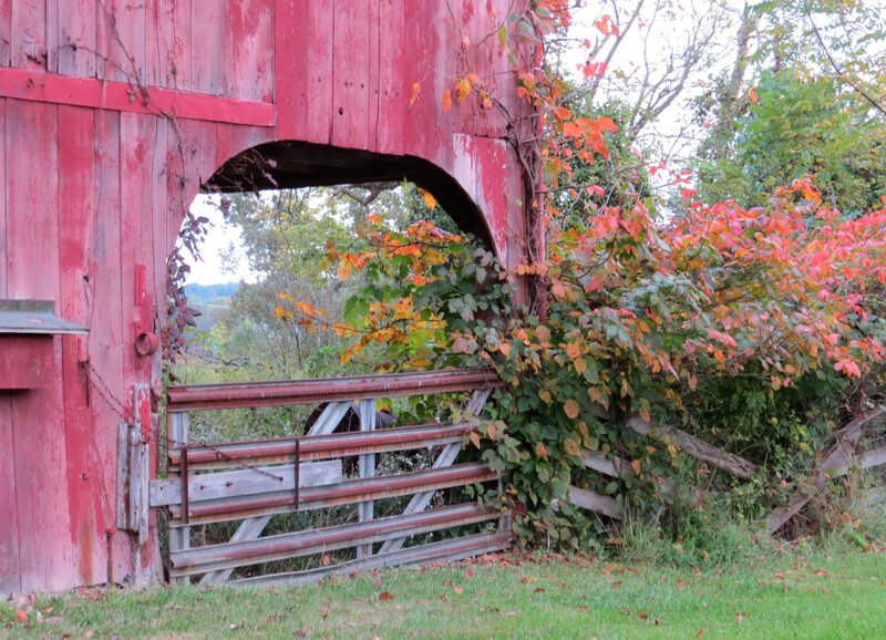 Red Barn with Gate
