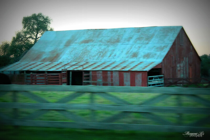 Red Barn with Metal Roof — Green