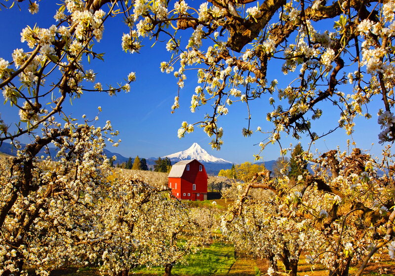 Red Barn with Mountain — Blue