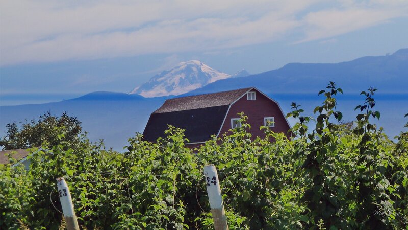 Red Barn with Mountain