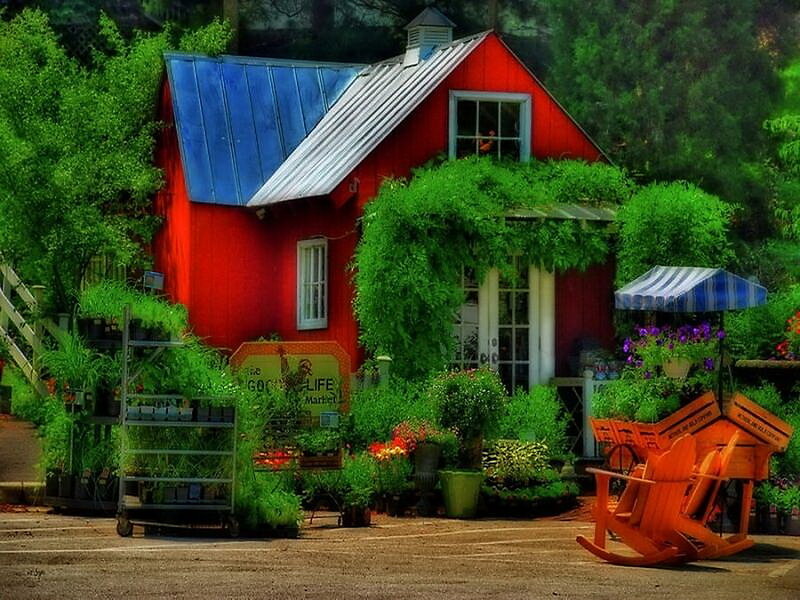 Red Barn with Plants — Serene