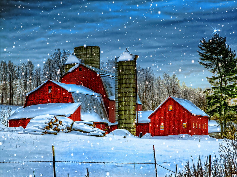 Red Barns in Snow — Serene