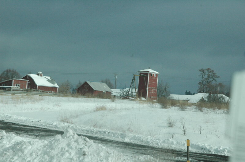 Red Barns in Snow — White
