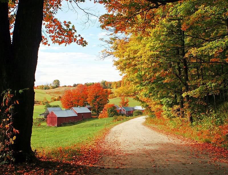 Red Barns on Autumn Farm