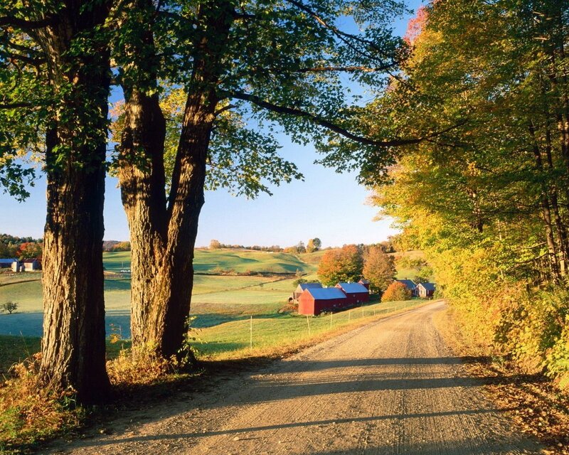 Red Barns on Farm