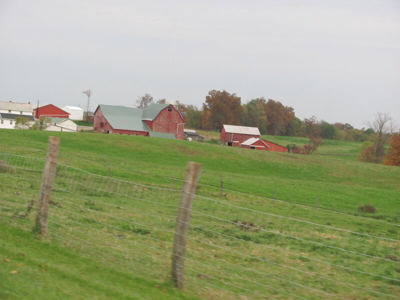 Red Barns on Hillside
