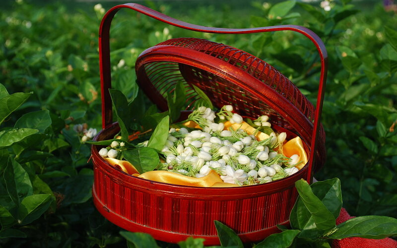 Red Basket with Jasmine Flowers