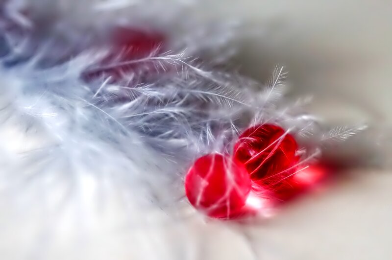 Red Beads on Feathers