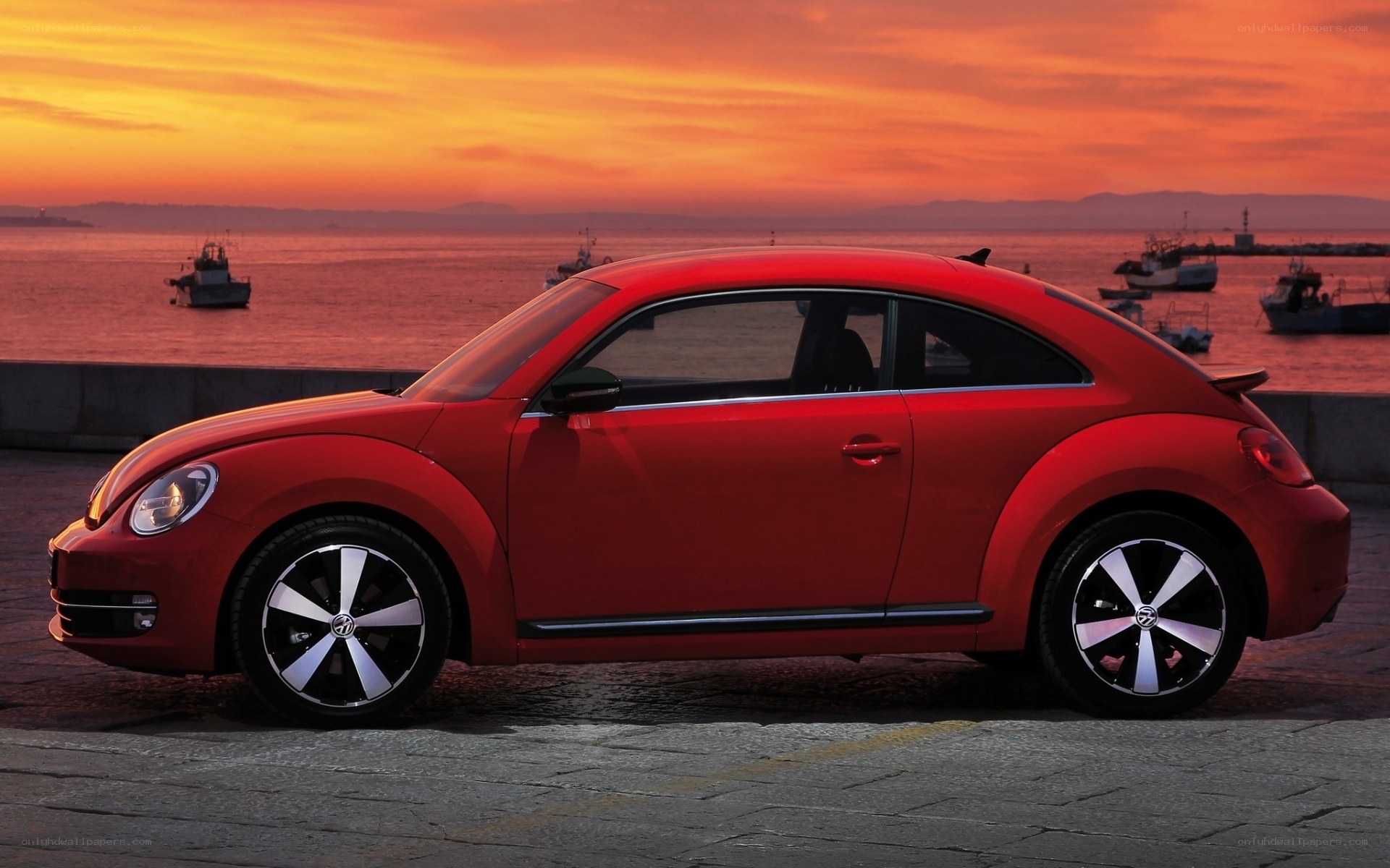 Red Beetle at sunset by the sea