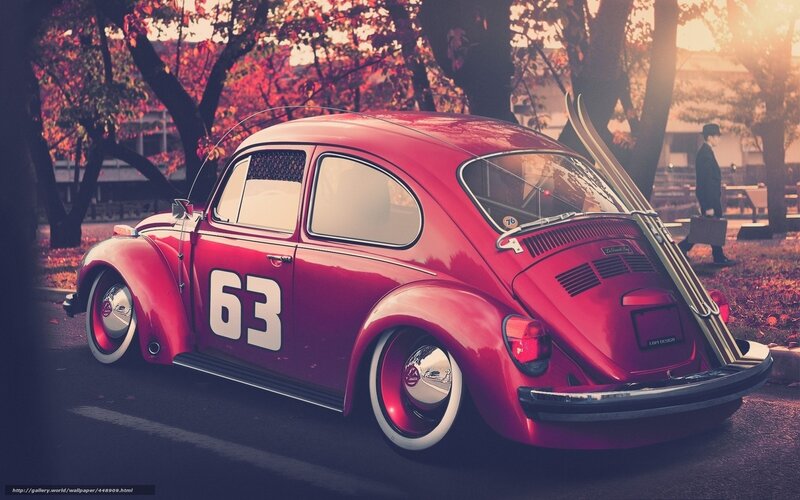 Red Beetle Car — Serene, Autumn