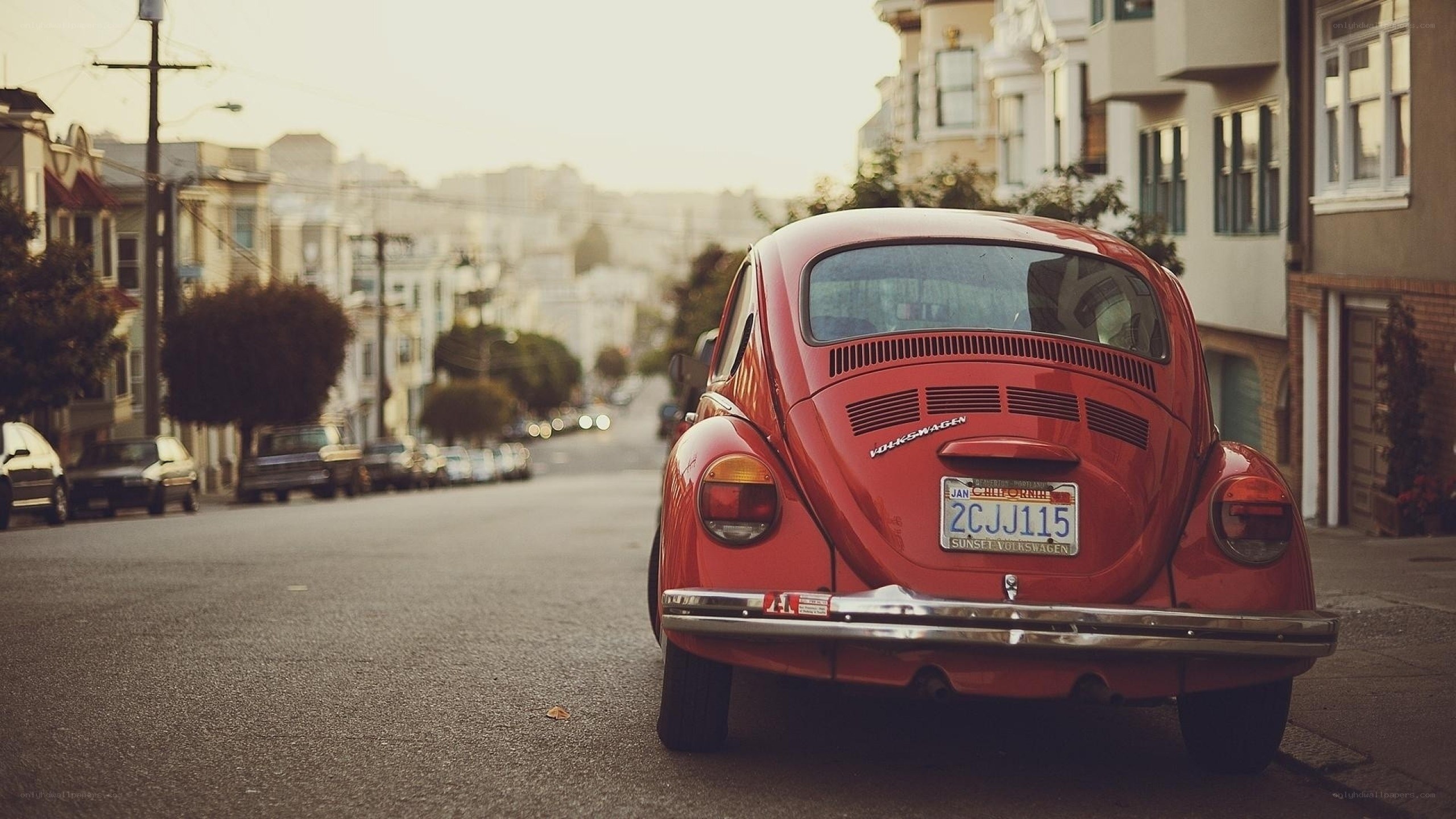 Red Beetle on a city street