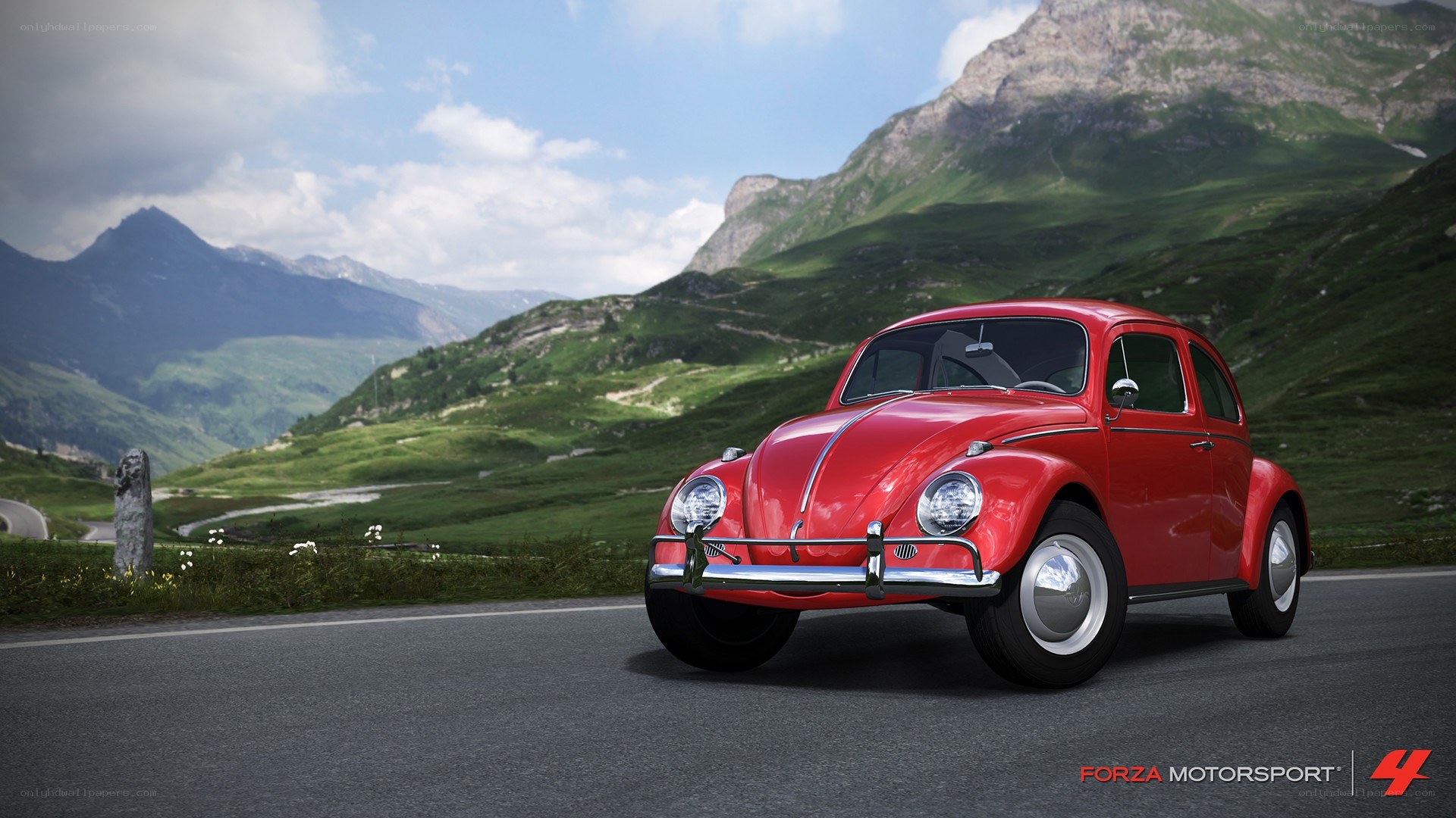 Red Beetle on a mountain road