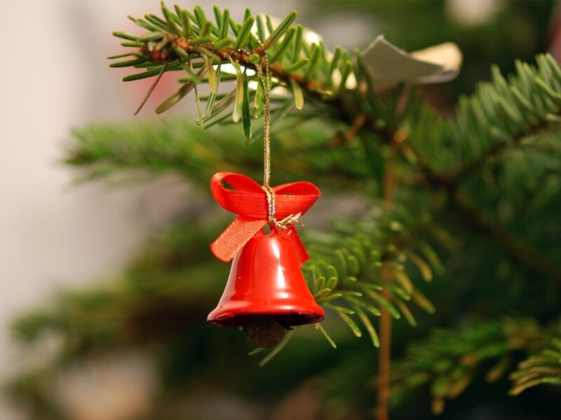 red bell ornament on tree