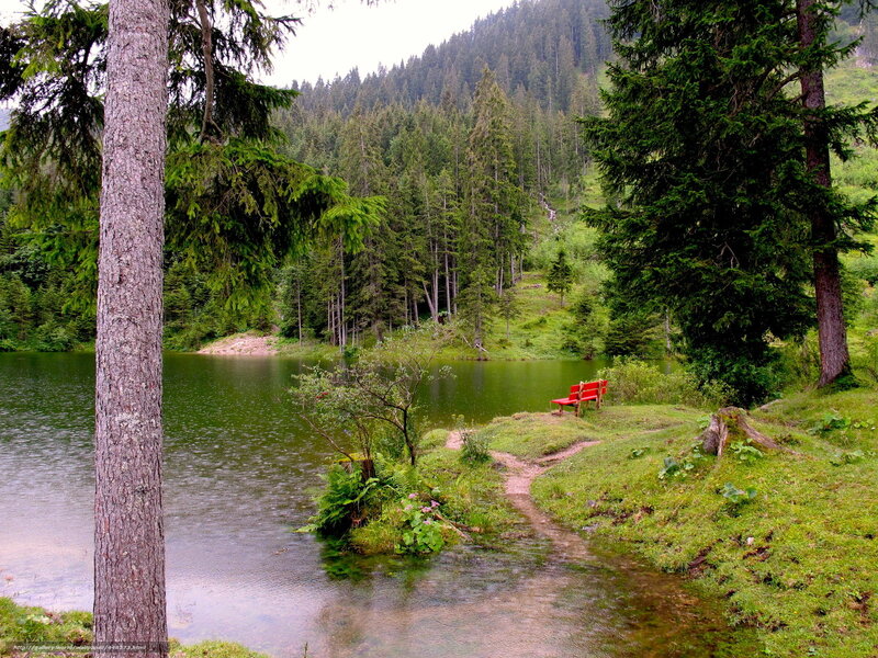 Red bench by forest lake