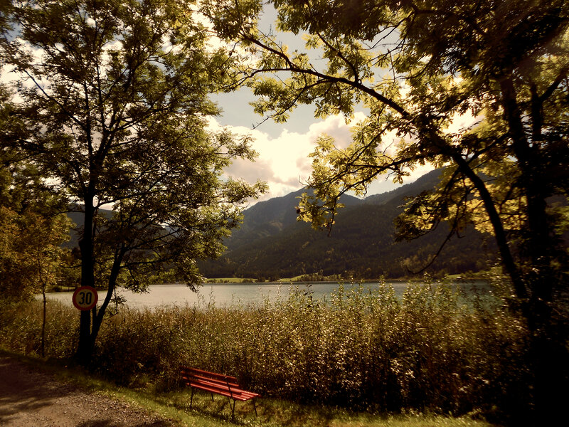 Red Bench by Lake — Green, Serene, Afternoon