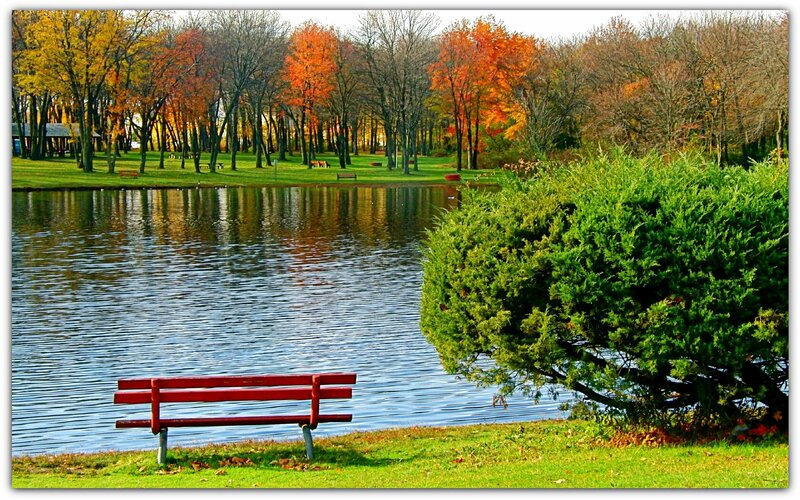 Red Bench by Lake — Green, Serene, Autumn