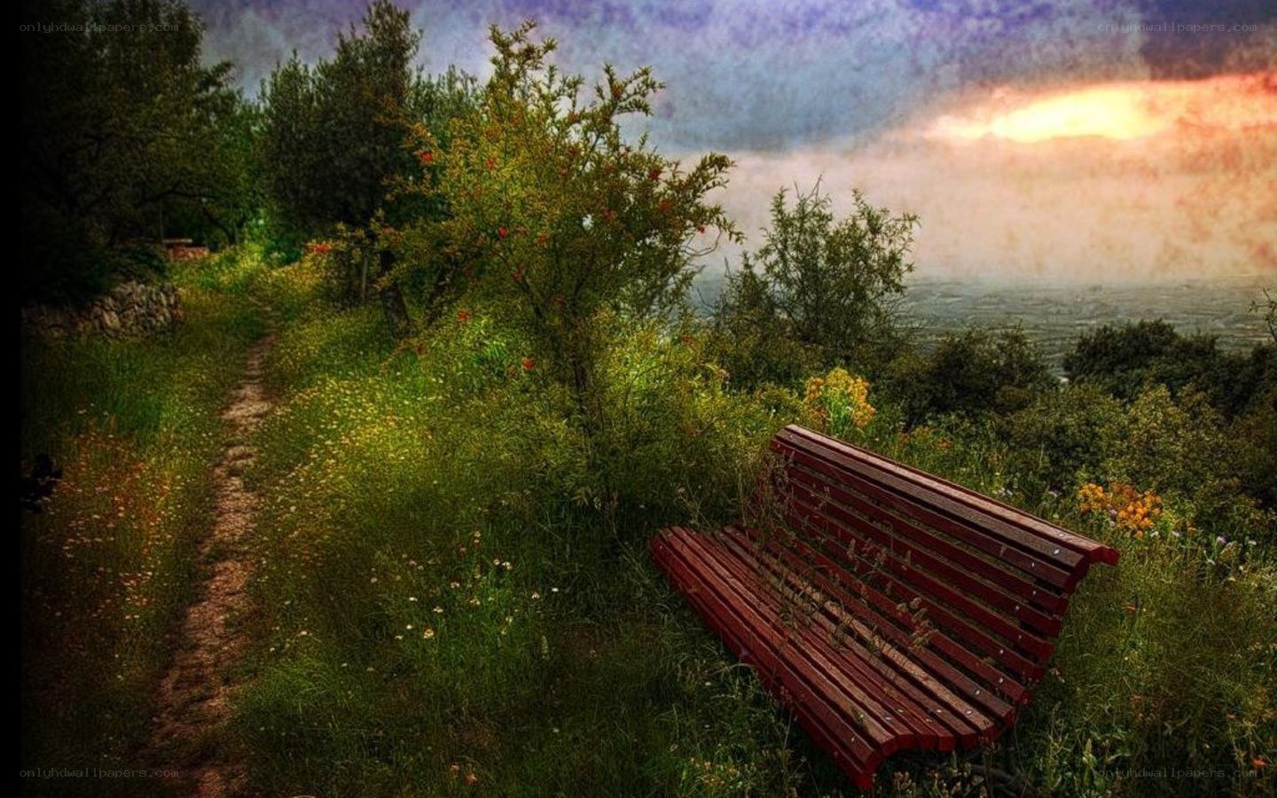 Red bench in a wild garden