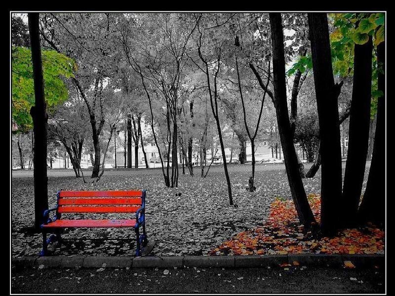 Red bench in autumn park