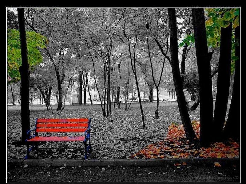 Red bench in autumn park