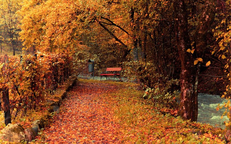 Red Bench in Autumn