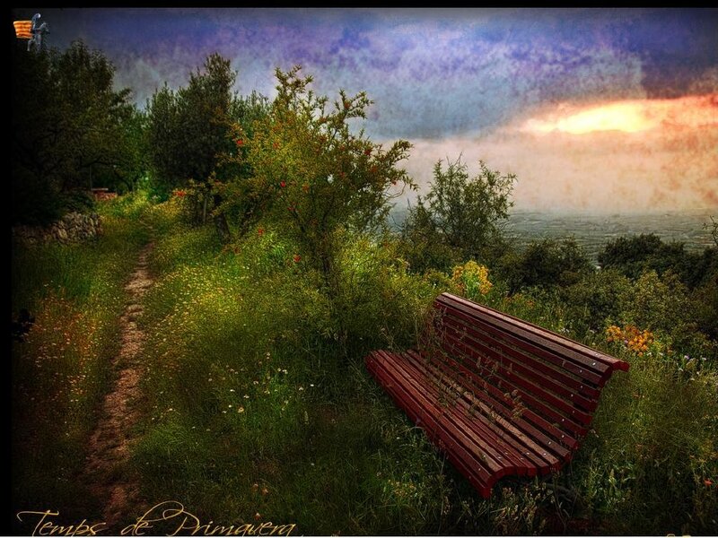 Red Bench in Field