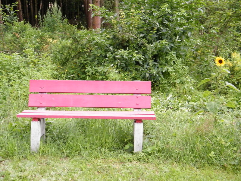 Red Bench in Grass