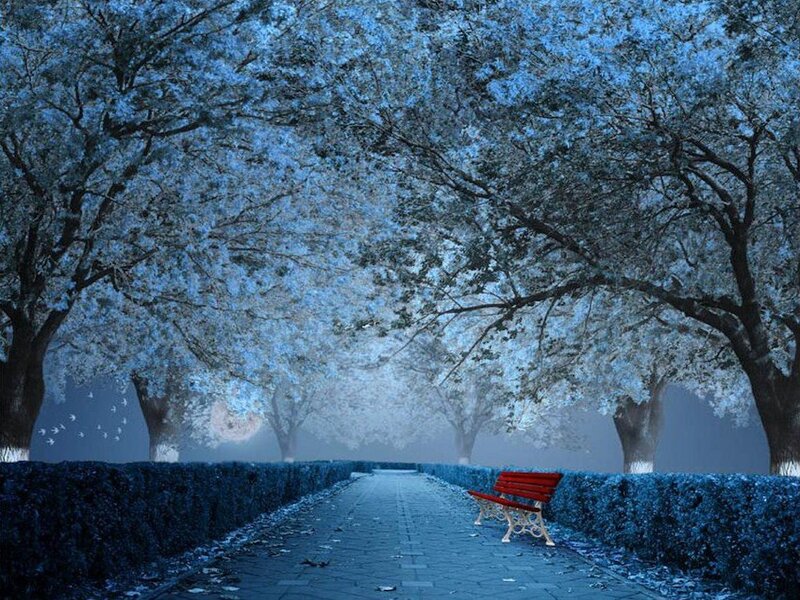 Red Bench in Park — Blue