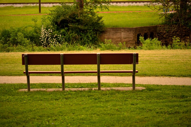 Red Bench in Park — Green