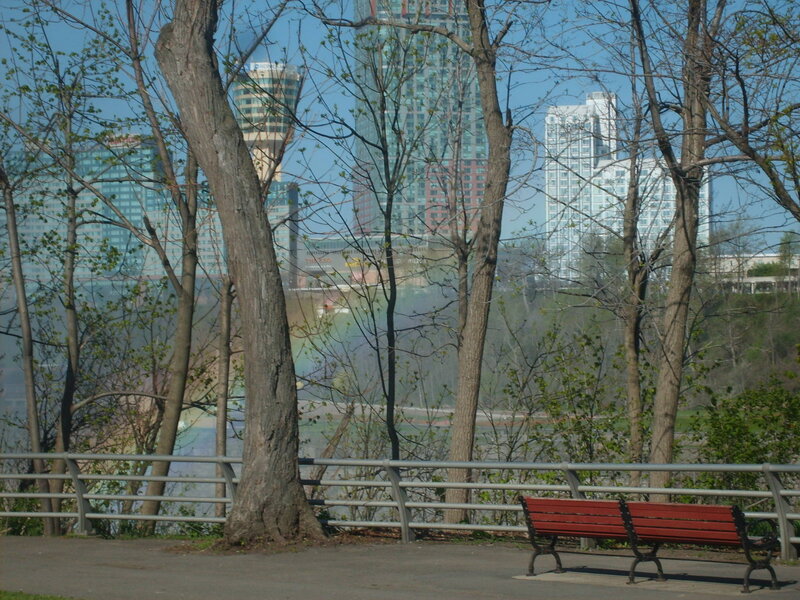 Red Bench in Park — Serene