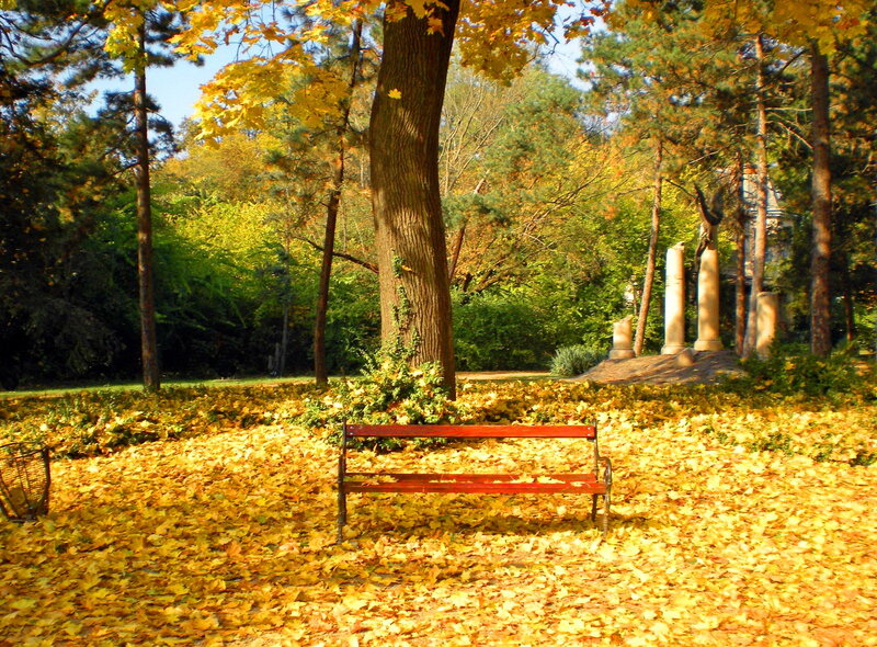Red Bench in Park — Yellow