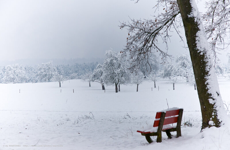 Red Bench in Snow