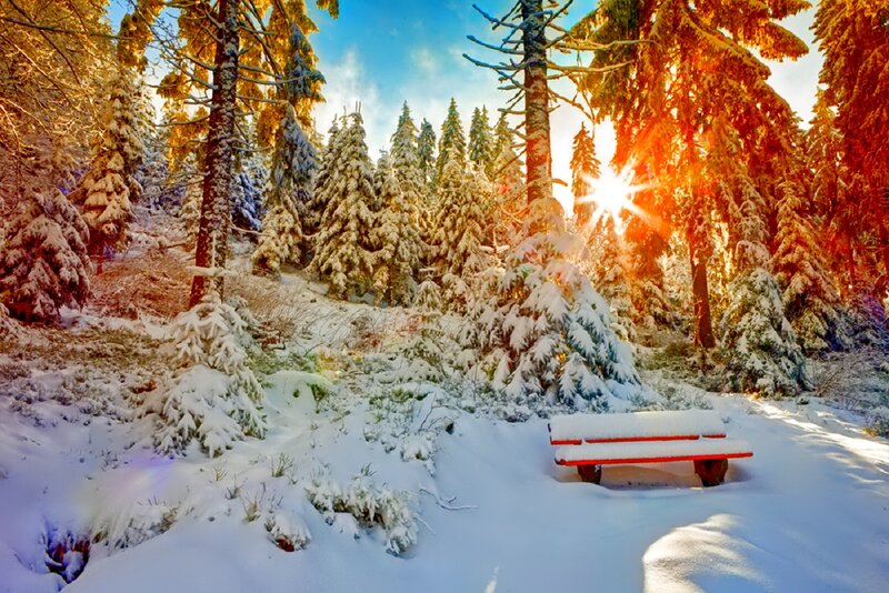 Red Bench in Snow — White, Serene, Winter