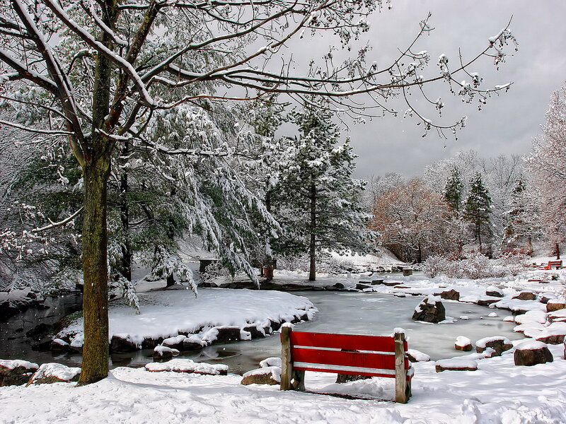Red Bench in Snow — White
