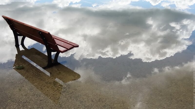 Red Bench in Water