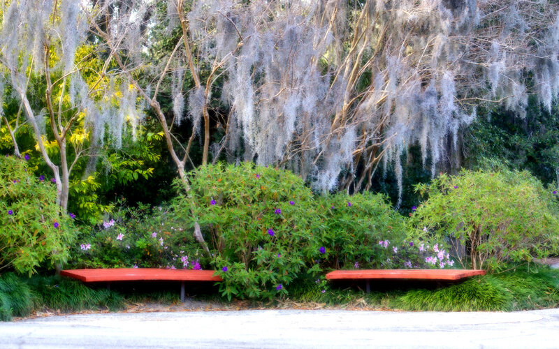 Red Benches in Garden