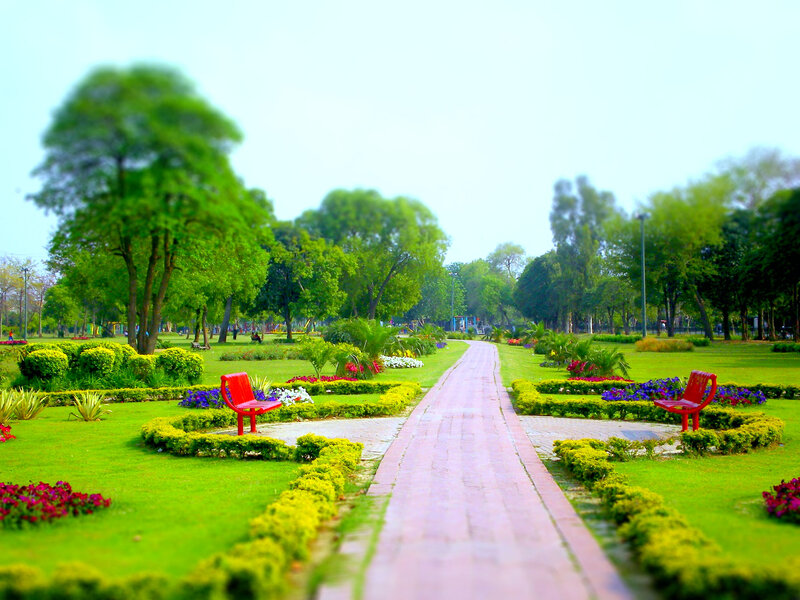 Red Benches in Park
