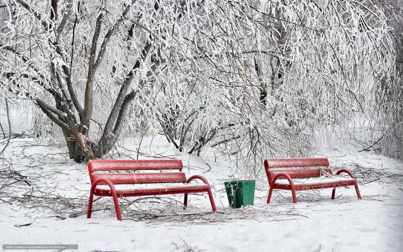 Red Benches in Snow — Cold