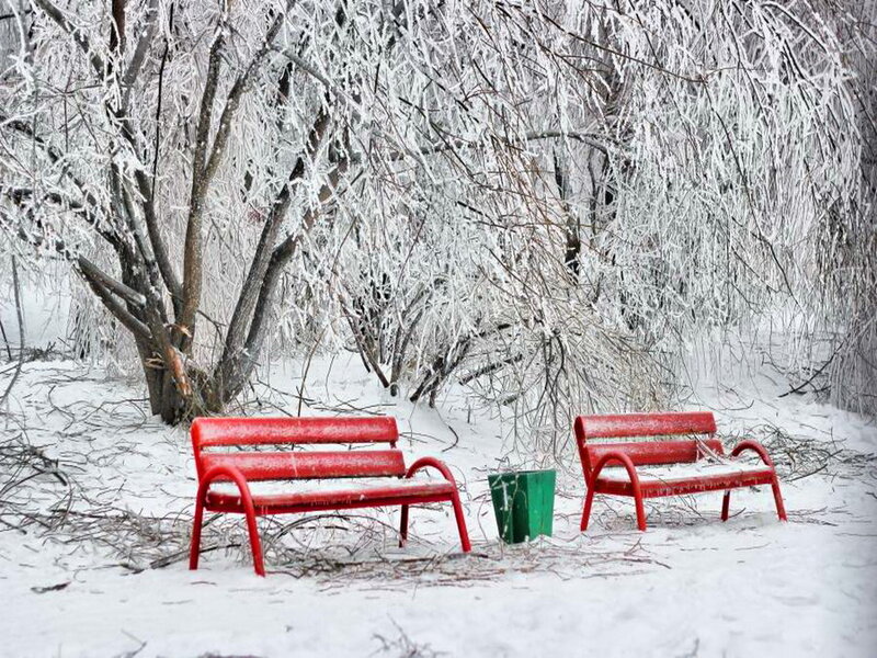Red Benches in Snow — Serene