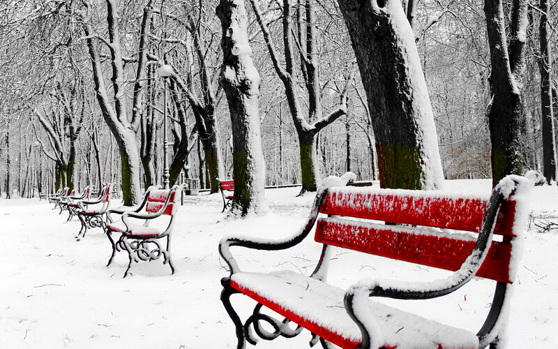 Red Benches in Snow — Serene, Winter