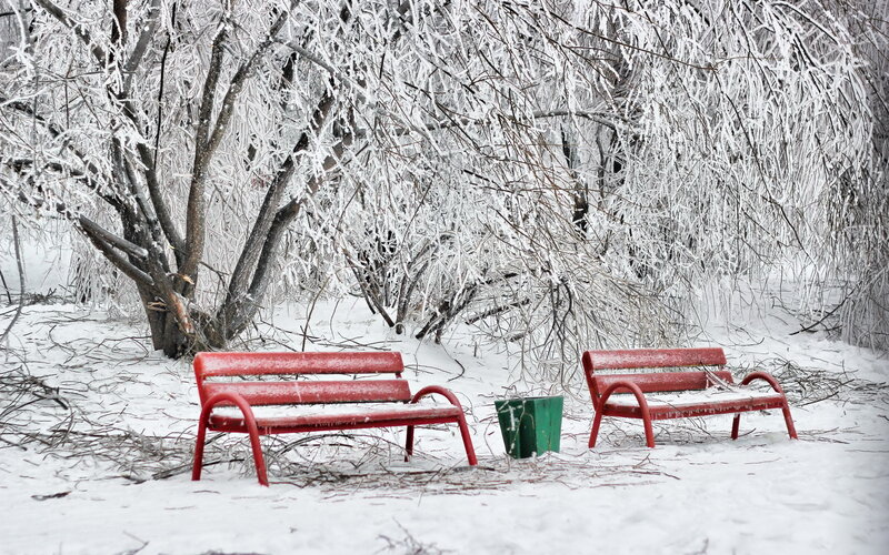 Red Benches in Snow