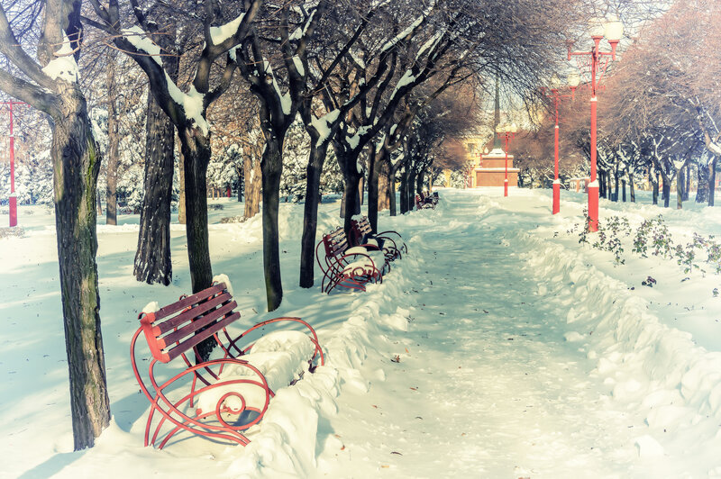 Red Benches in Snow — White