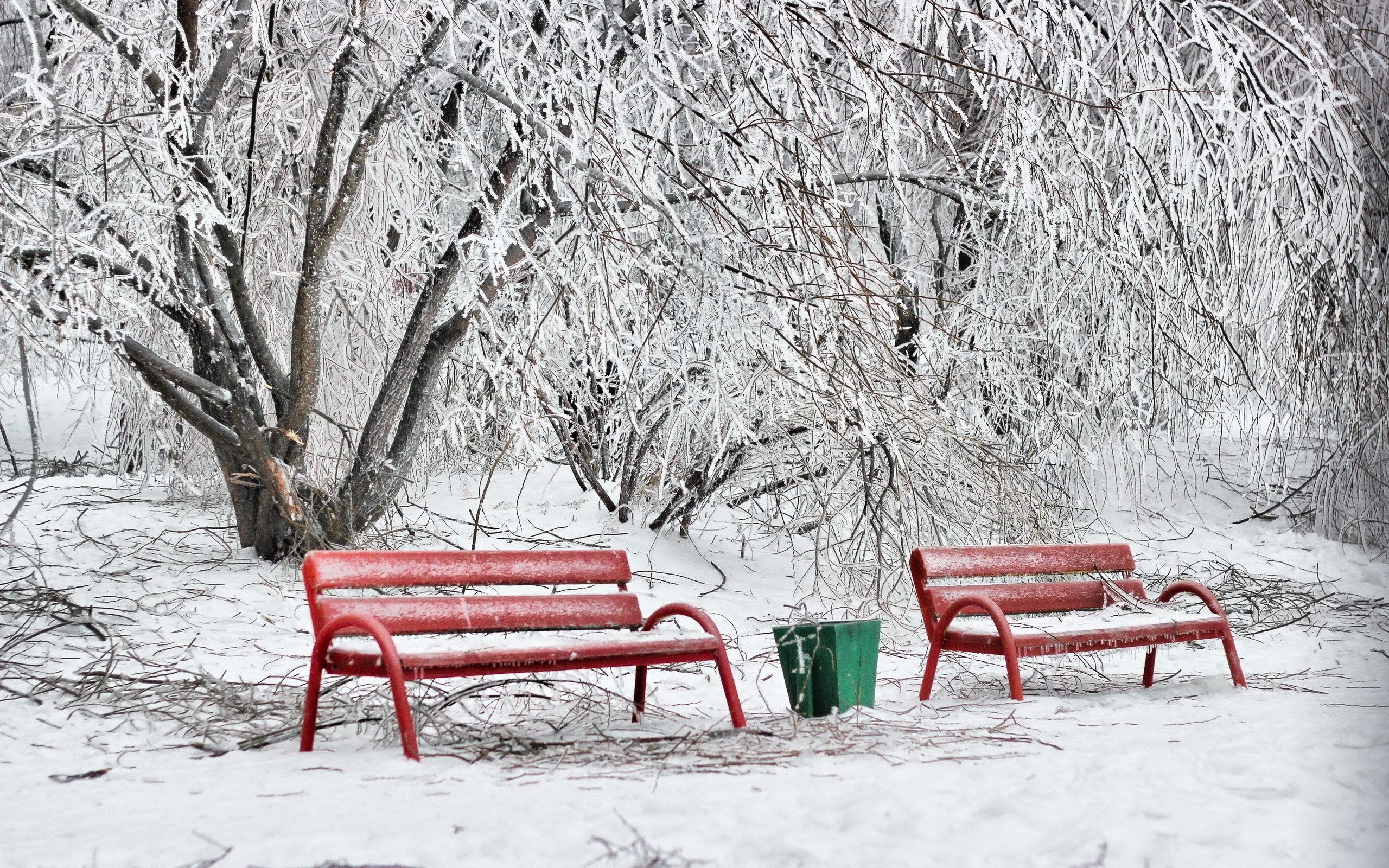 Red benches in snowy park