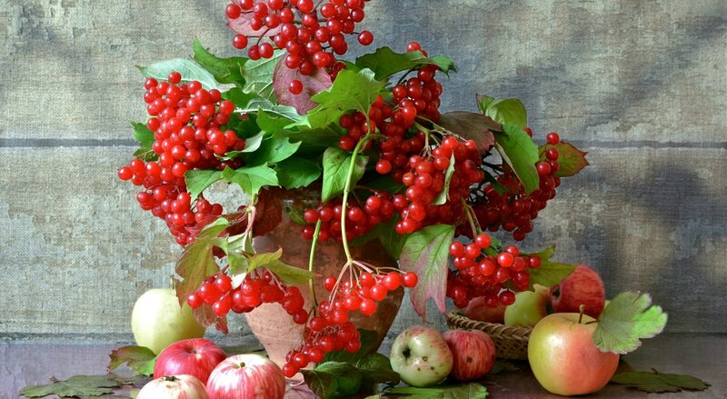 Red Berries and Apples