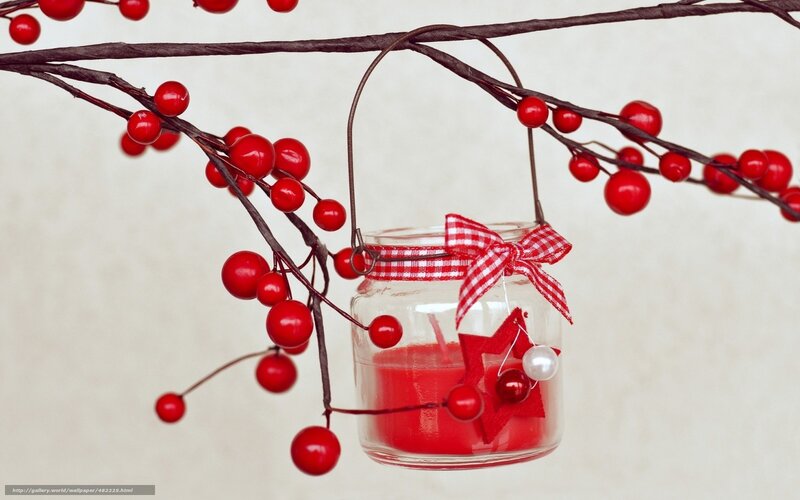 Red berries and candle jar